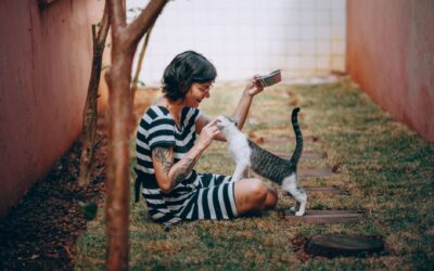 Choosing an Automatic Pet Feeder: A Complete Guide