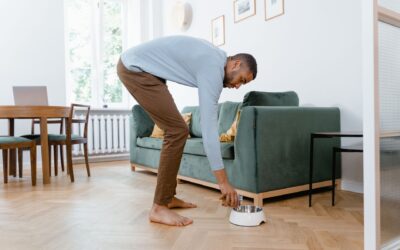 How Long Does Automatic Pet Feeder Food Last